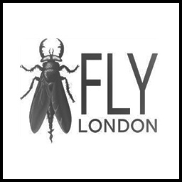 fly london femme